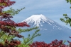 Tokyo Osaka Ultimate Japan Experience