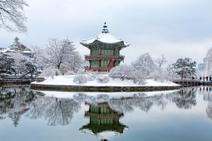 MATTA Fair 2024 - Enjoy in Winter Korea