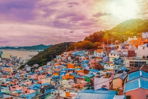 Seoul City &amp; Busan Coastal Tour