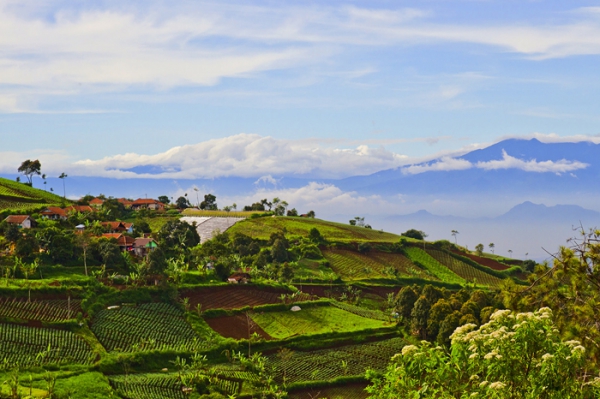 Magical Bandung