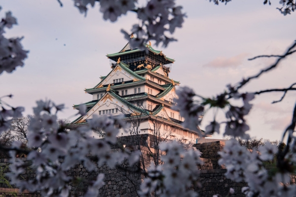 Tokyo &amp; Osaka Japan Discovery