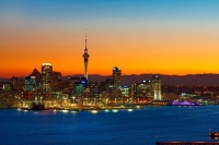 Auckland & Bay of Island Adventure