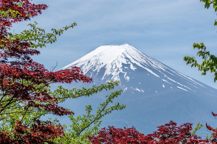 Echanting Tokyo